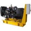 موتور گازسوز 42KVA